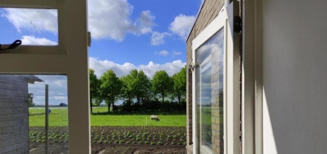 In Het Mooie Friesland Vele Bezienswaardigheden Hantum Экстерьер фото