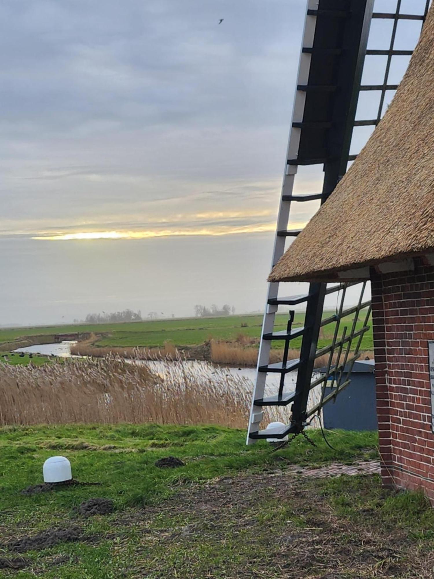 In Het Mooie Friesland Vele Bezienswaardigheden Hantum Экстерьер фото