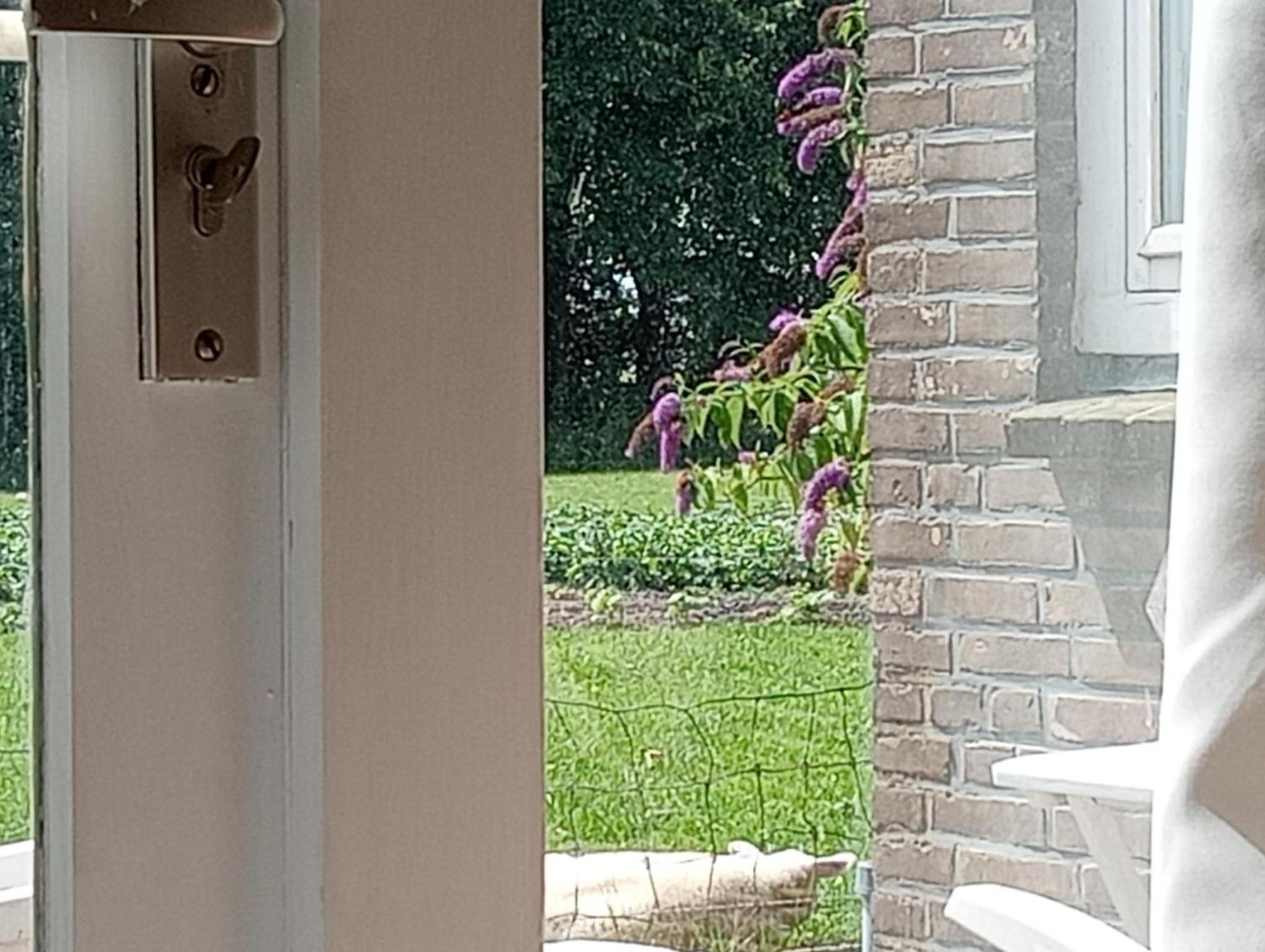In Het Mooie Friesland Vele Bezienswaardigheden Hantum Экстерьер фото
